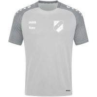 SV Schwabelweis Jako T-Shirt soft grey/steingrau Gr. L