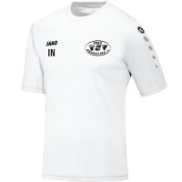 TSV Oberisling Jako Trainingsshirt