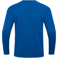 JFG Donautal Jako Sweat