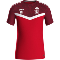 TB/ASV Regenstauf Jako T-Shirt rot/weinrot Gr. XXL