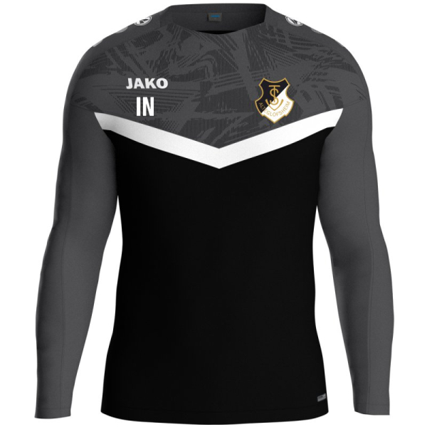 TSV Alteglofsheim Jako Sweat