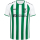TSV Bad Abbach Jako Spielertrikot weiß/sportgrün Gr. L