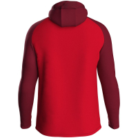 SC Mitterfecking Jako Kapuzenjacke