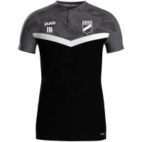 SG Hohenschambach Jako Polo schwarz/anthrazit Gr. L