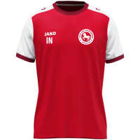 TSV Deuerling Jako Trikot