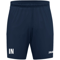VFB/BSC Regensburg Jako Trainingsshort Damen