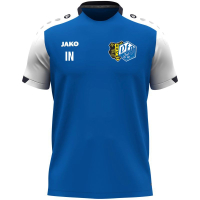 VFB/BSC Regensburg Jako T-Shirt royal/weiß/marine...