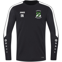 FC Maxhütte-Haidhof Jako Sweat