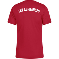 TSV Aufhausen Jako Damen Trikot