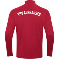 TSV Aufhausen Jako Damen Ziptop