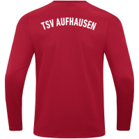TSV Aufhausen Jako Damen Sweat