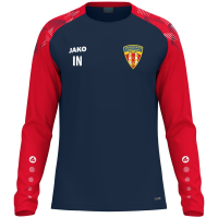 RT Jako Longsleeve