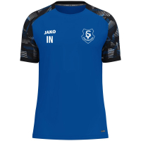 SV Burgweinting Jako T-Shirt