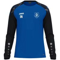 SV Burgweinting Jako Longsleeve