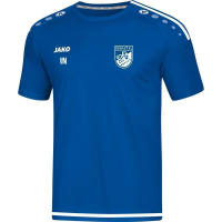 JFG Donautal Jako Trikot Striker 2.0 KA royal/weiß...